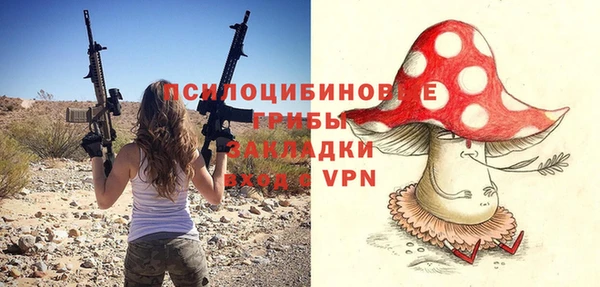 а пвп мука Нея